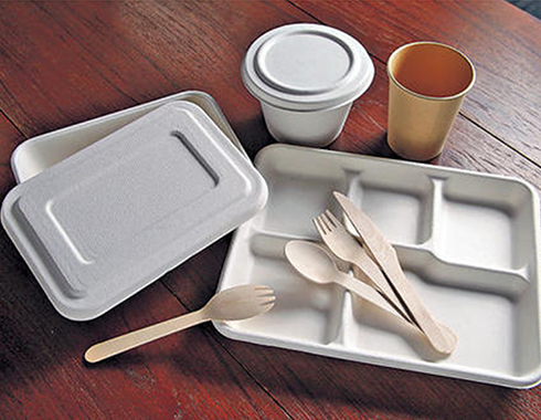 Biodegradable Plastic